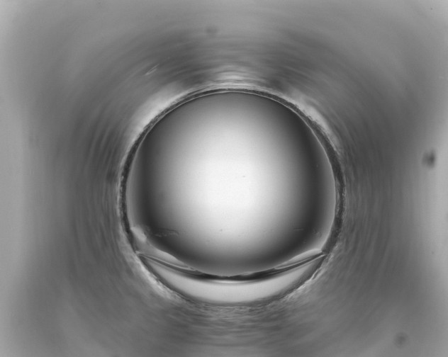 X0000094201333200711021042