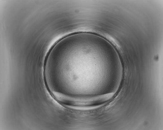 X0000094201334200711021042