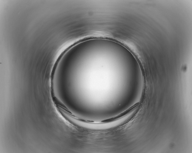 X0000094201335200711021042