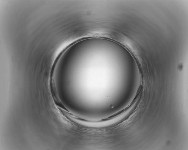 X0000094201336200711021042
