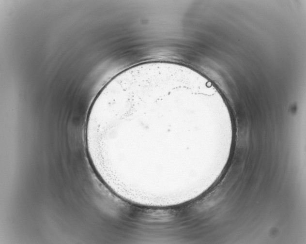 X0000094201338200711021042