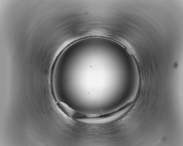 X0000094201339200711021042