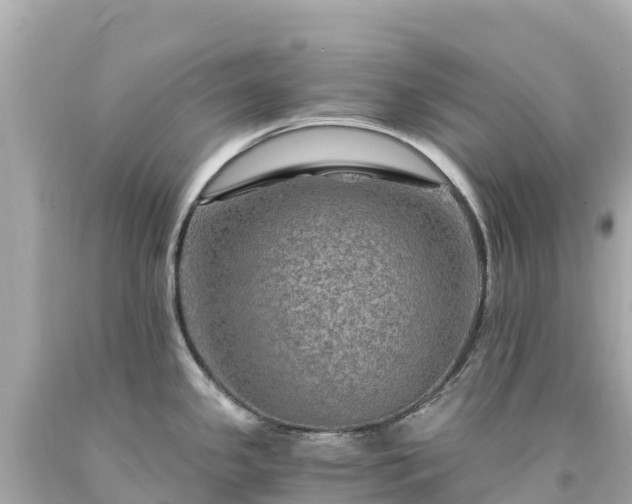 X0000094201341200711021042