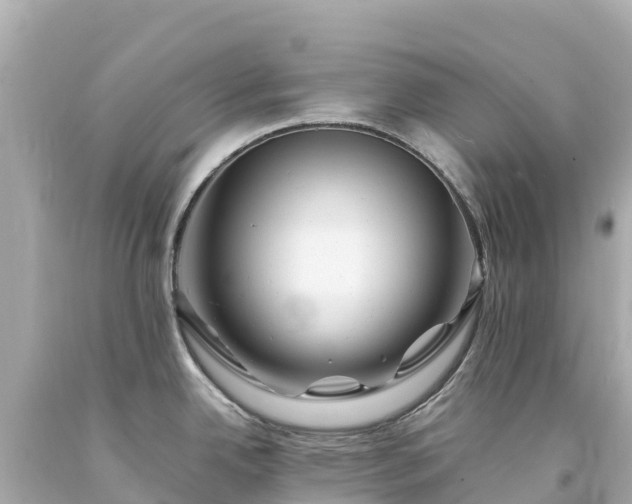 X0000094201342200711021042