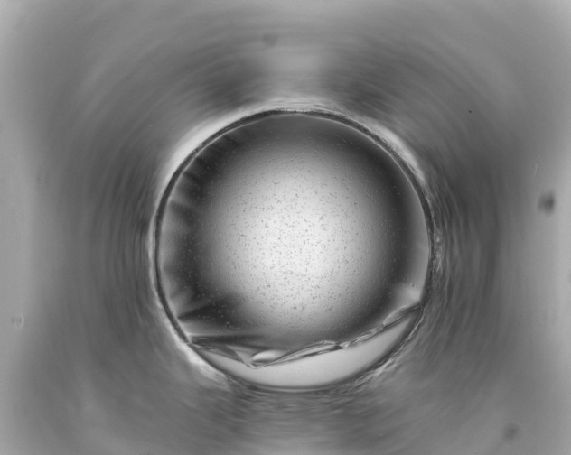 X0000094201343200711021042