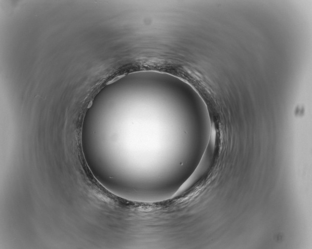 X0000094201345200711021042