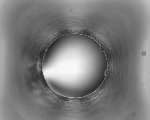X0000094201346200711021042