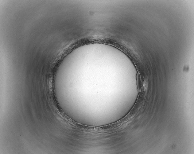 X0000094201348200711021042