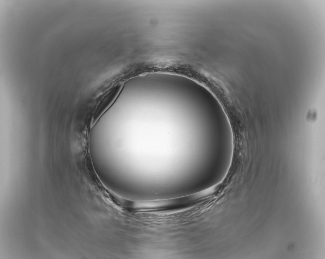 X0000094201349200711021042