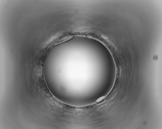 X0000094201350200711021042
