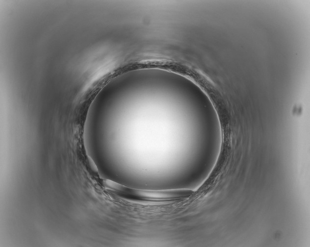 X0000094201351200711021042