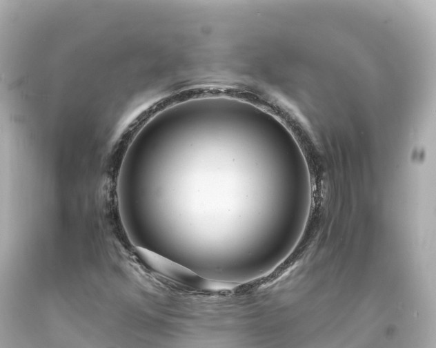 X0000094201352200711021041