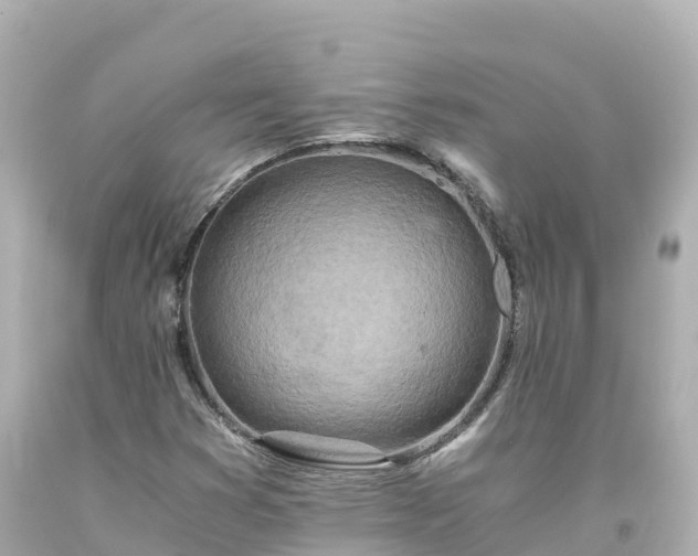 X0000094201353200711021041