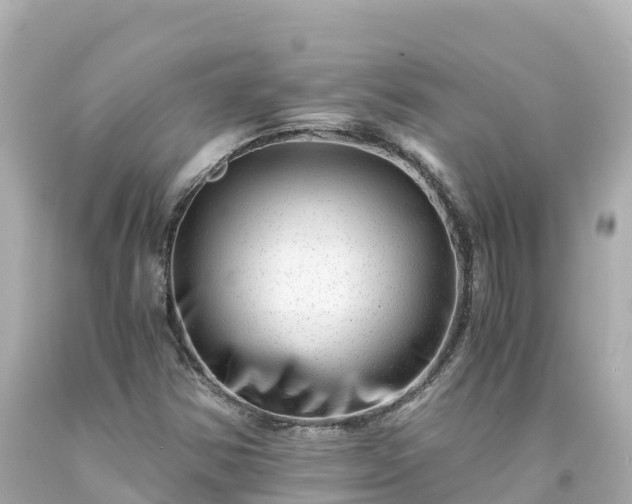 X0000094201354200711021041