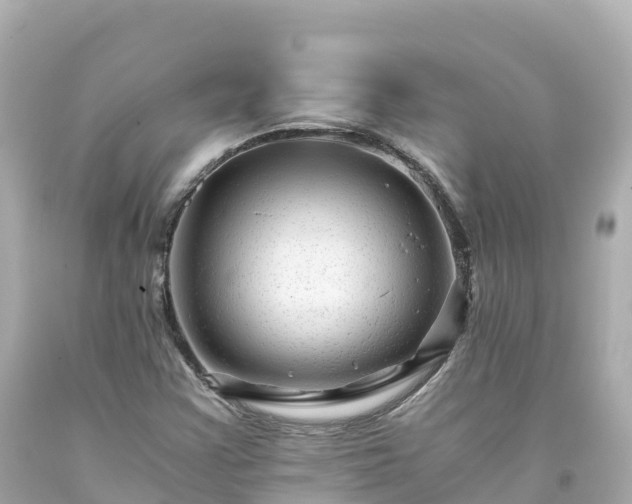 X0000094201355200711021041