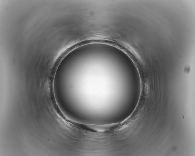 X0000094201356200711021041