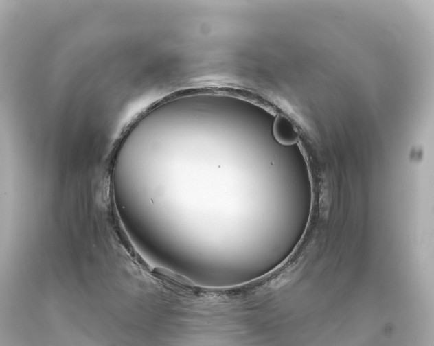 X0000094201358200711021041