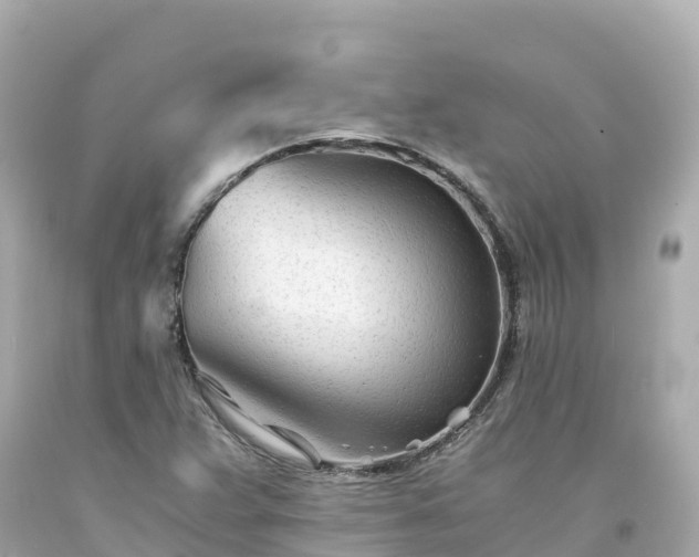 X0000094201359200711021041
