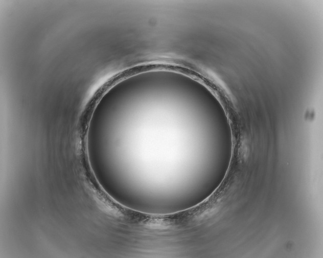 X0000094201360200711021041