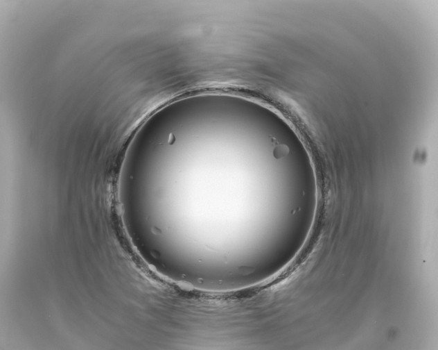 X0000094201361200711021041
