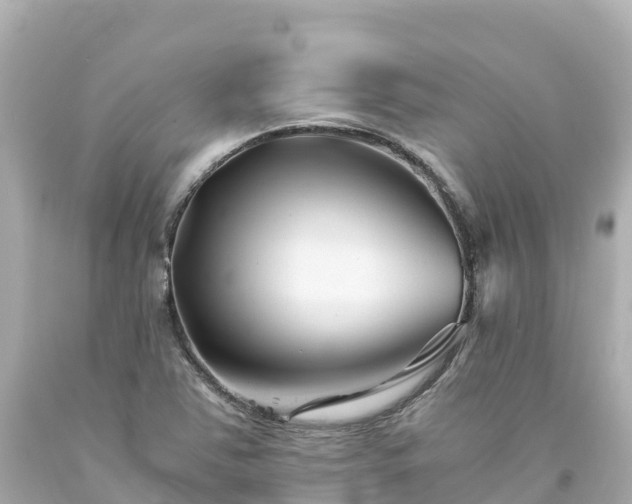 X0000094201363200711021041