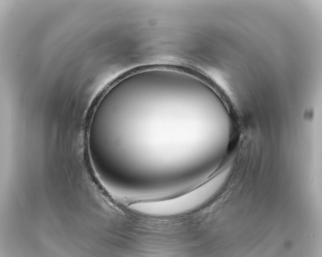 X0000094201364200711021041