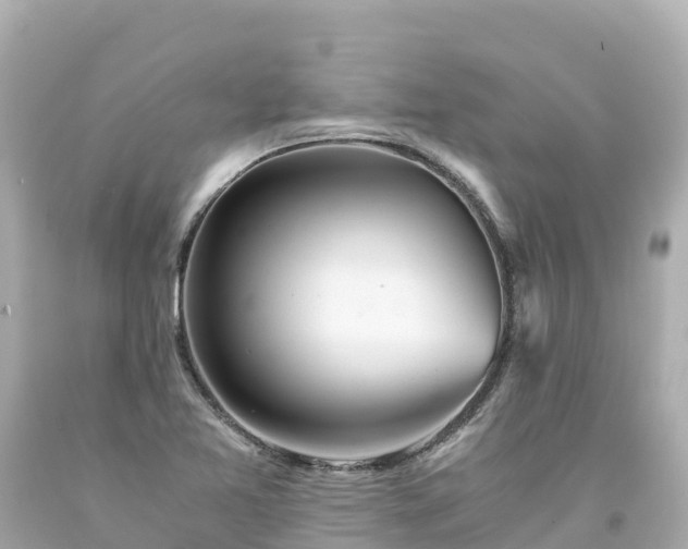 X0000094201365200711021041