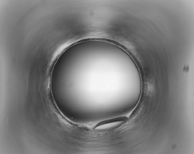 X0000094201366200711021041