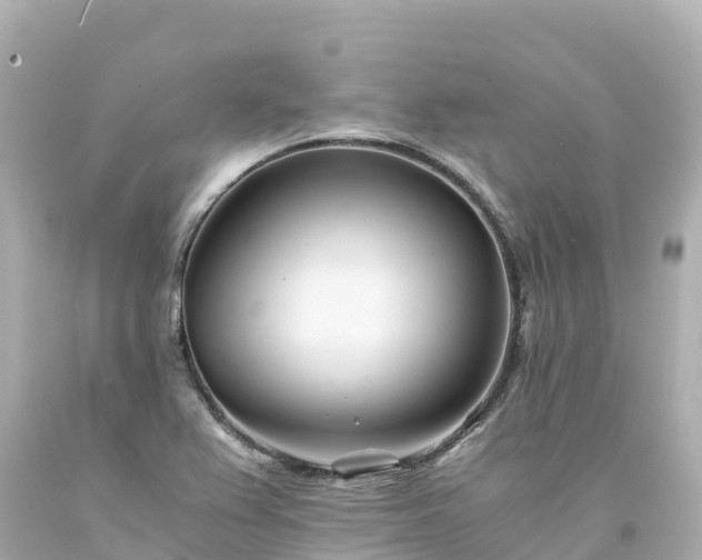 X0000094201367200711021041