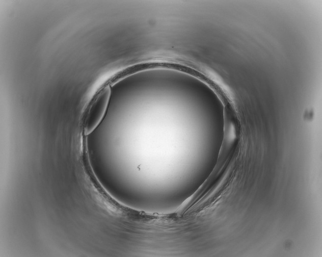 X0000094201368200711021041