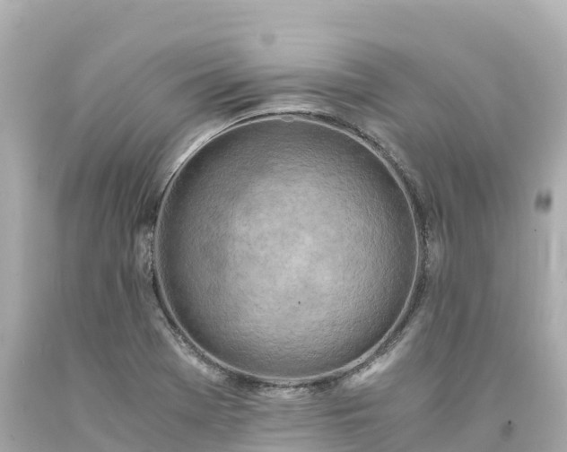 X0000094201369200711021041