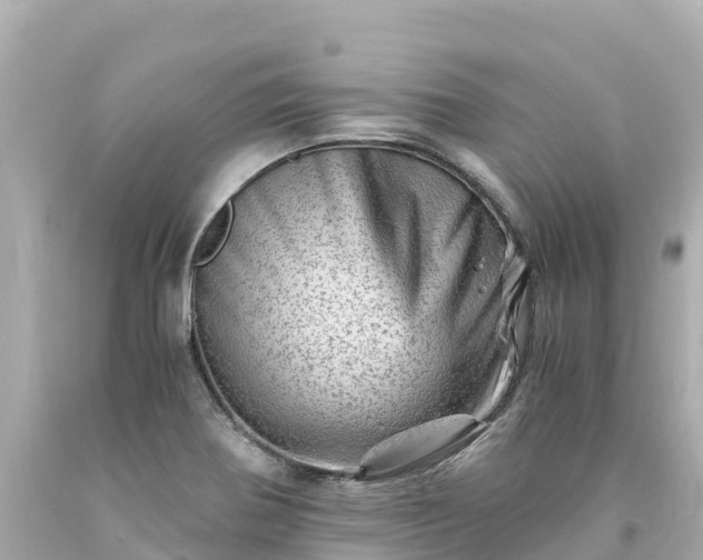 X0000094201370200711021041