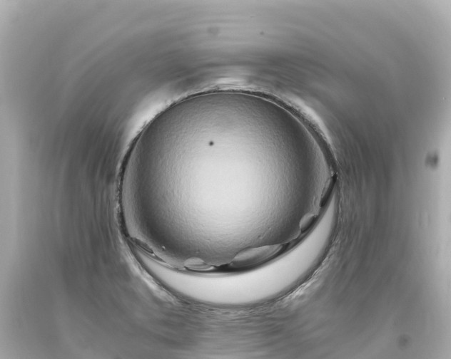 X0000094201373200711021041