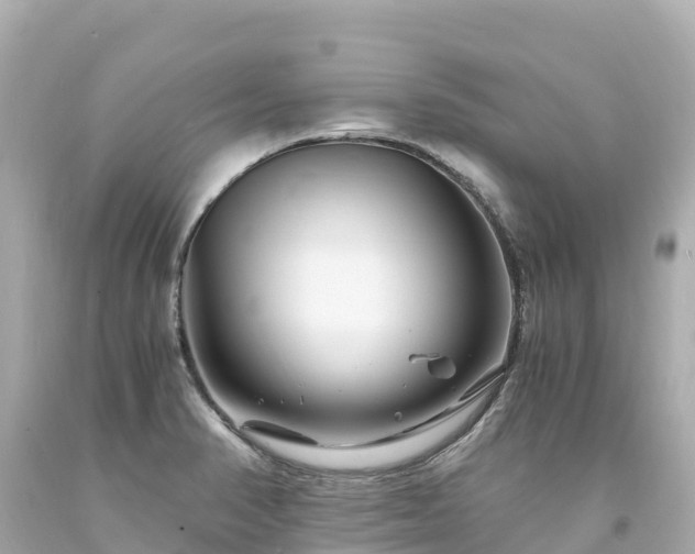 X0000094201374200711021041