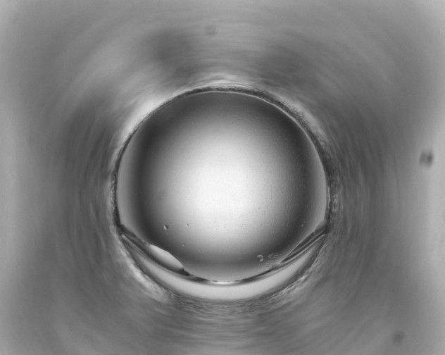 X0000094201375200711021041