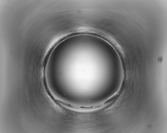 X0000094201376200711021041