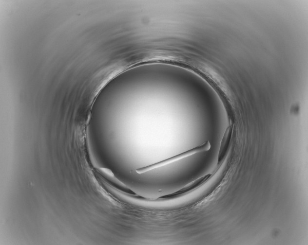 X0000094201377200711021041