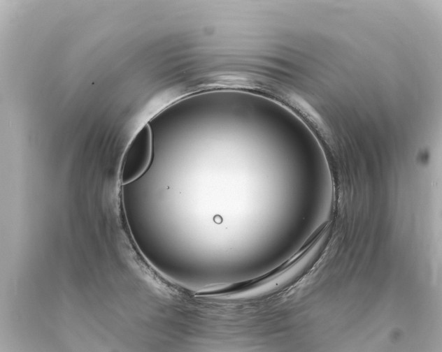 X0000094201378200711021041