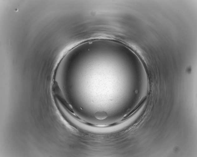 X0000094201379200711021041