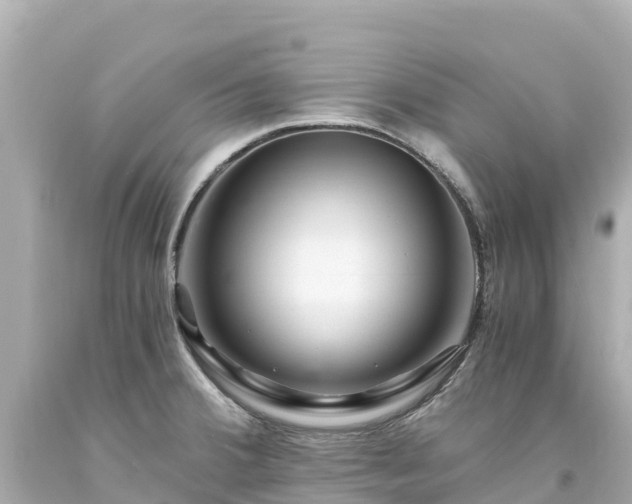 X0000094201380200711021041