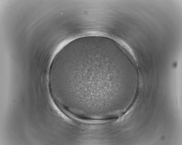 X0000094201381200711021041