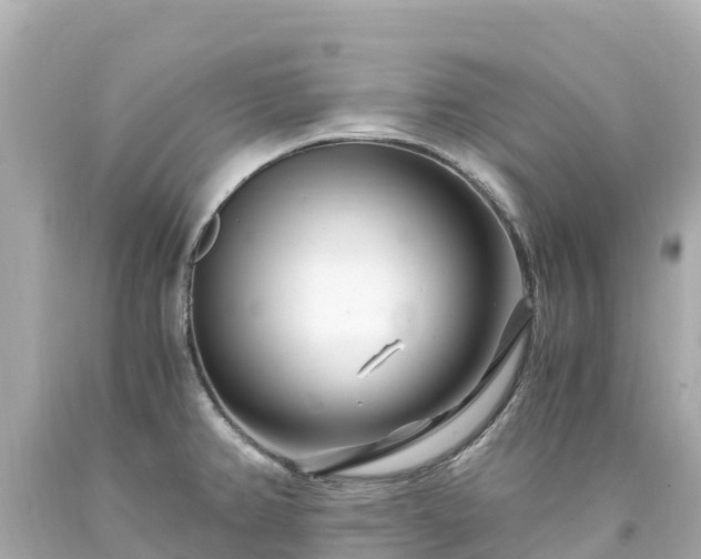 X0000094201382200711021041
