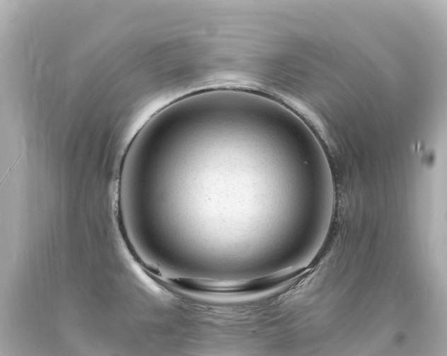 X0000094201383200711021041