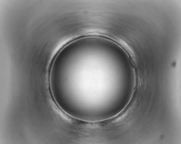 X0000094201384200711021041