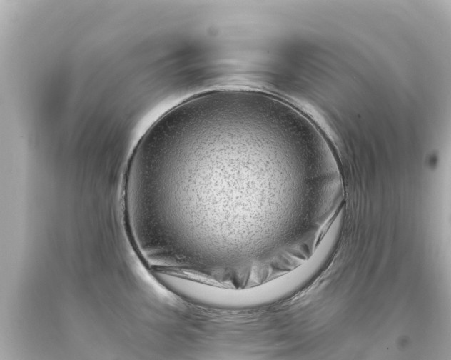 X0000094201387200711021041