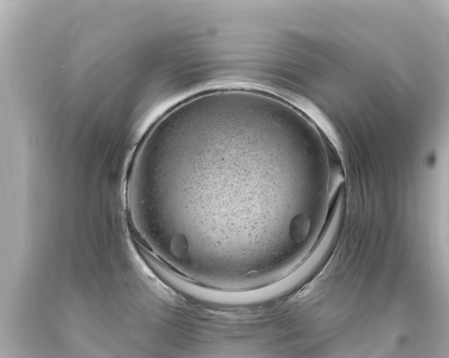 X0000094201388200711021041