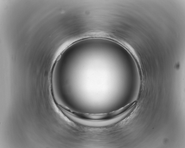 X0000094201389200711021041