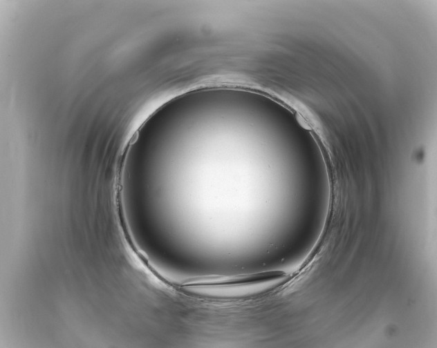 X0000094201390200711021041