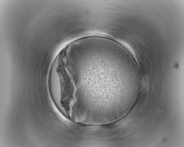 X0000094201391200711021041
