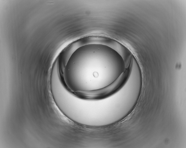 X0000094201392200711021041